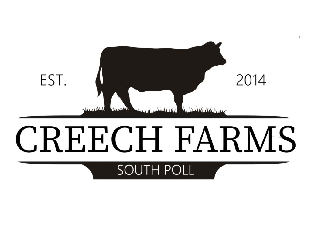 Creech Farms Beef Market – South Poll Cattle Farm