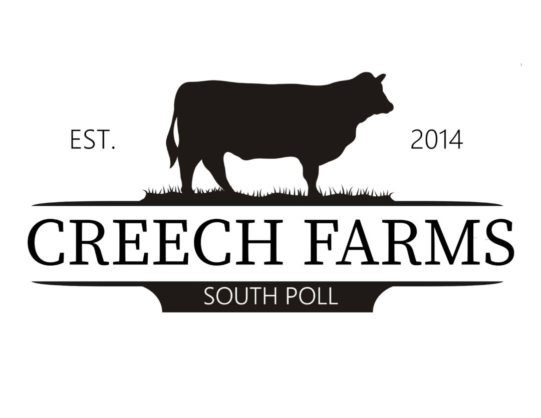 Creech Farms Beef Market – South Poll Cattle Farm